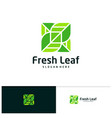 leaf logo template creative design vector image