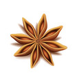 realistic top view dry star anise fruit vector image vector image