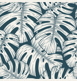 seamless pattern tropical leaf monstera vector image