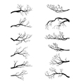 set of tree branches vector image