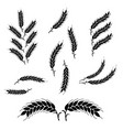 set wheat ears icons and logo organic wheat vector image