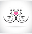 two loving swans and pink heart on white vector image vector image