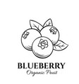 hand drawn blueberry icon vector image vector image