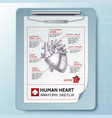 anatomical clipboard template vector image vector image