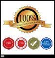 100 percent satisfaction guarantee vector image