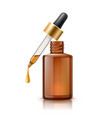 3d herbal oil pipette skin care bottle vector image