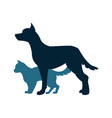 cat and dog silhouette vector image