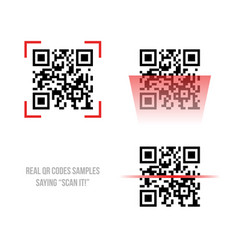 Qr code samples Royalty Free Vector Image - VectorStock