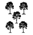 maple trees and grass silhouette vector image