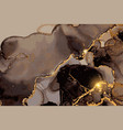 black grey and gold marble pattern alcohol ink vector image