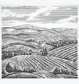 graphical landscape vector image vector image