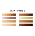 skin tone color scale chart brown palette vector image vector image