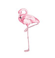 pink flamingo realistic hand vector image