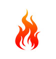 blazing campfire isolated burning fire vector image vector image