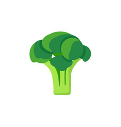 broccoli isolated on white background vector image vector image