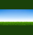 green grass and blue sky background vector image vector image