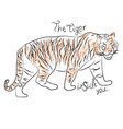 tiger vector image
