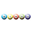 bingo balls vector image vector image