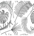 seamless black and white pattern with exotic vector image