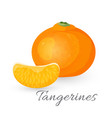 tangerine tropical fruit isolated on white vector image