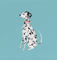 dalmatian puppy on a turquoise background vector image