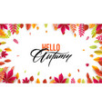hello autumn different colored leaves vector image