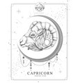 card with astrology capricorn zodiac sign vector image