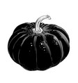 hand drawn sketch of pumpkin in black isolated vector image vector image