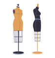 mannequins for atelier and dressmaking vector image