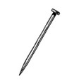 metal nail vector image vector image