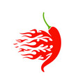 chili pepper vector image