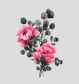 watercolor chinese rose vector image vector image