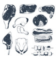 set hand drawn raw meat products vector image vector image
