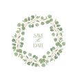 eucalyptus realistic floral wreath with watercolor vector image