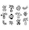 abstract plants in ceramic vases pots set vector image vector image
