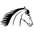 horse muzzle vector image vector image