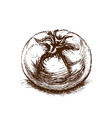 brown sketch of single tomato in classic engraved vector image vector image