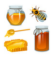 honey in jar bee and hive spoon honeycomb vector image