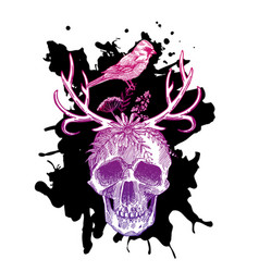 Sketch skull Royalty Free Vector Image - VectorStock