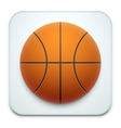 basketball icon on white vector image