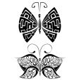 butterfly vector image