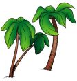 palms vector image vector image