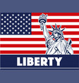 statue of liberty usamap flag and symbol vector image