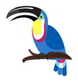 wildlife toucan icon cartoon style vector image