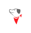 dog with red bandana on white backdrop vector image vector image