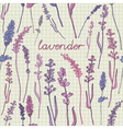 lavender pattern background vector image vector image