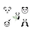 panda logo template icon vector image