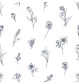 engraved flowers pattern botanical repeating vector image