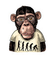 monkeys dressed in a t-shirt with the theory vector image vector image