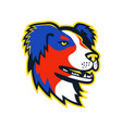 australian shepherd dog mascot vector image vector image
